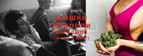крисы Горняк