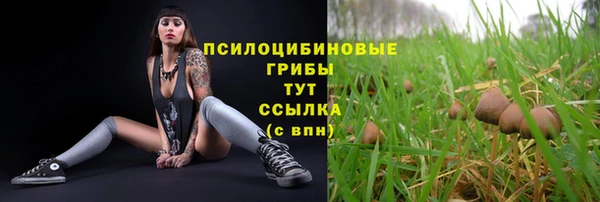 первитин Горнозаводск