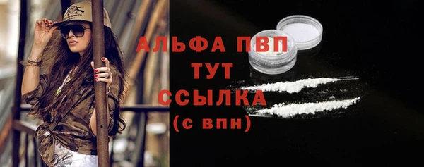 крисы Горняк