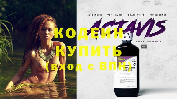 крисы Горняк