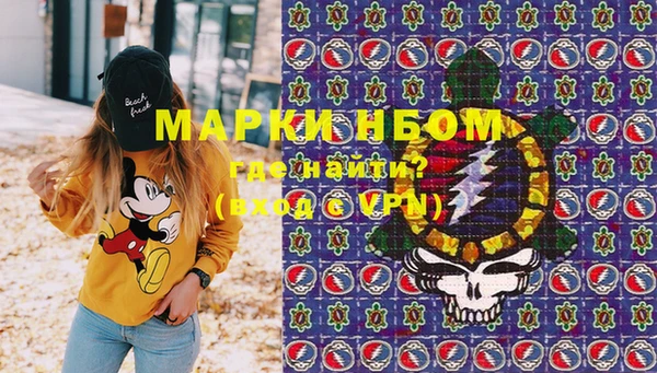 крисы Горняк